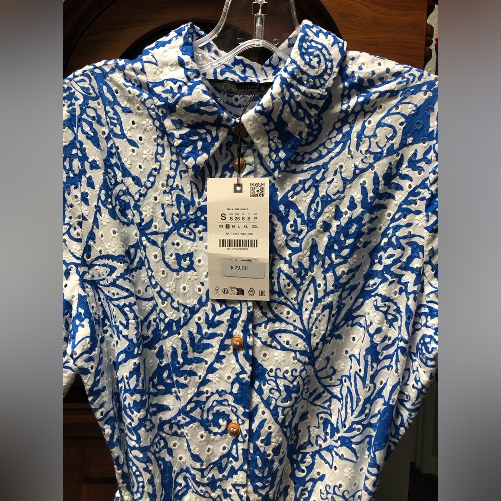 Zara Blue and White Paisley Button-Front Maxi Dress - Picture 5 of 10